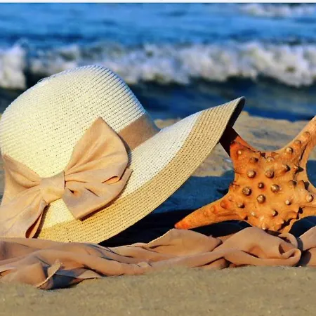 Danaya 1 * Warna